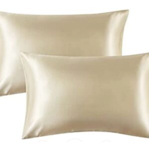 Classic Modal Satin Pillow covers ( Set of 2)